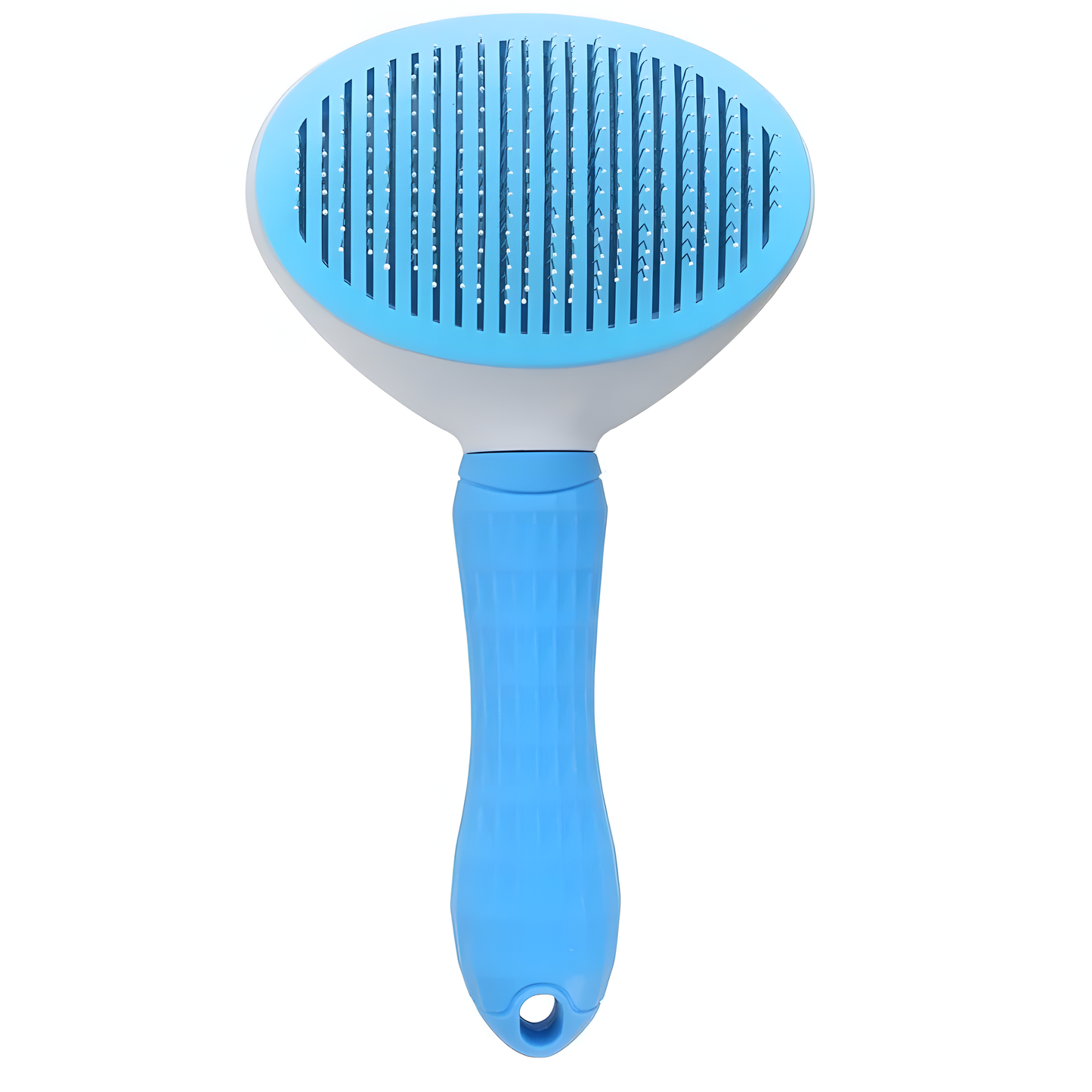 Brosse anti-poils de Buddy