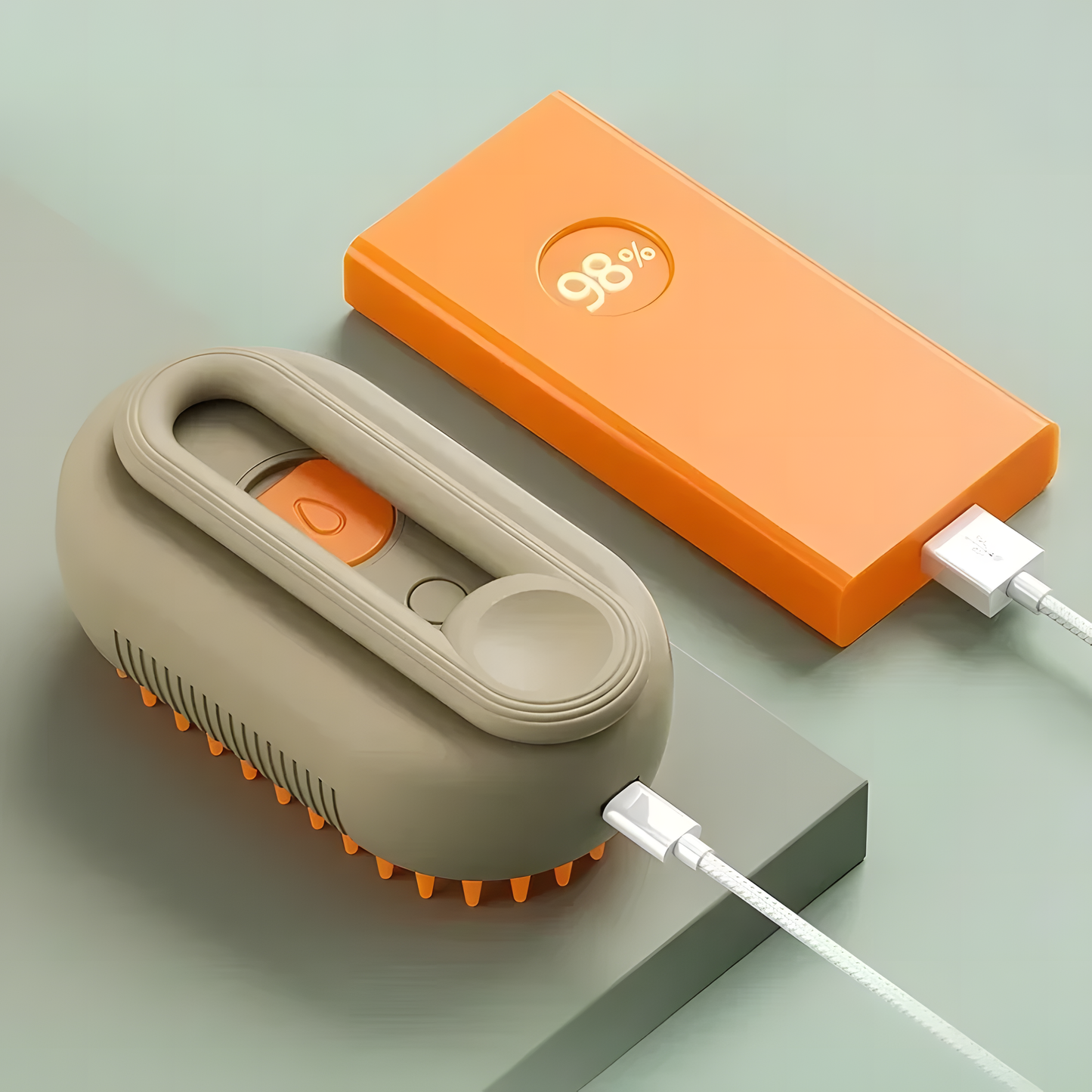 Brosse de toilettage à vapeur