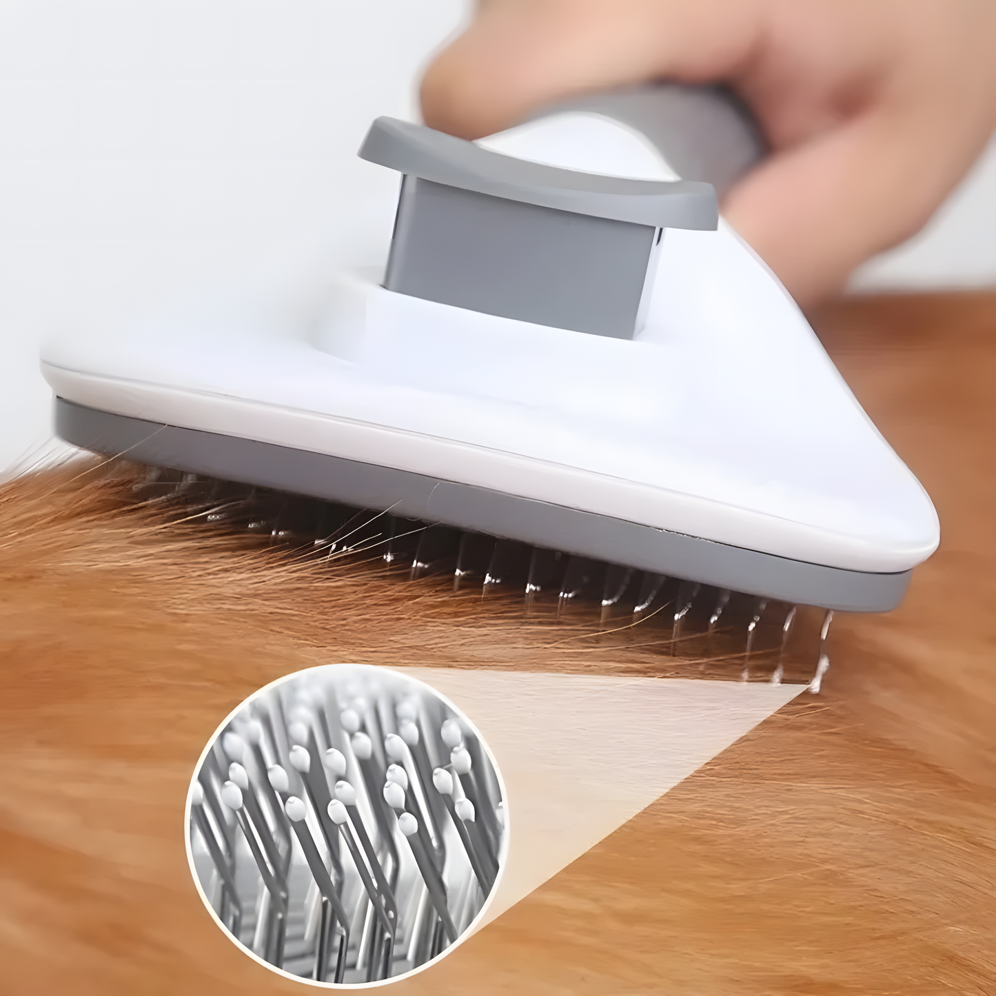 Brosse anti-poils de Buddy