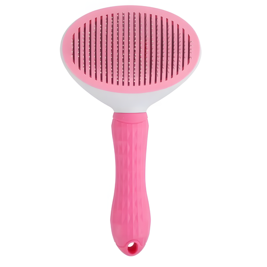 Brosse anti-poils de Buddy